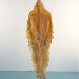 ESSERE UMANI, ALL’INFINITO.