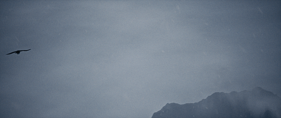 A lone bird flying across a grey, overcast sky above mountains.