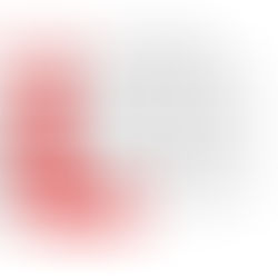 DBF12月の予定＆最近のジムの様子