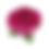 Thumbnail: Bella Hot Pink Paper Flower Shells