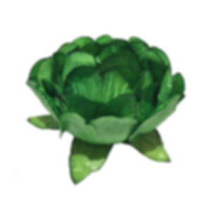 Bella Dark Green Paper Flower Shell