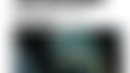 Article in LSJ Online