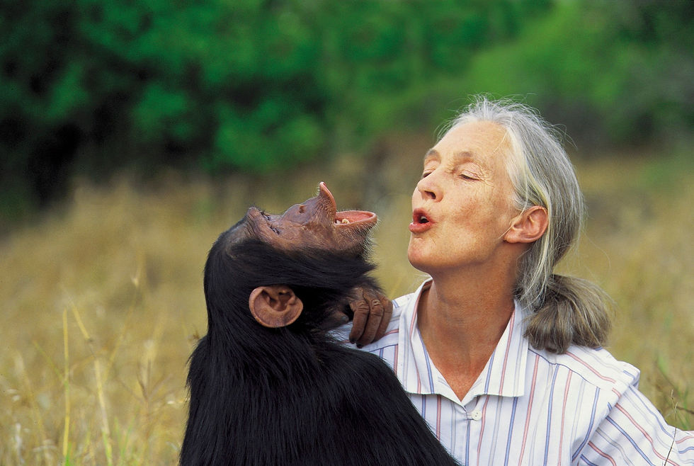 Jane Goodall III