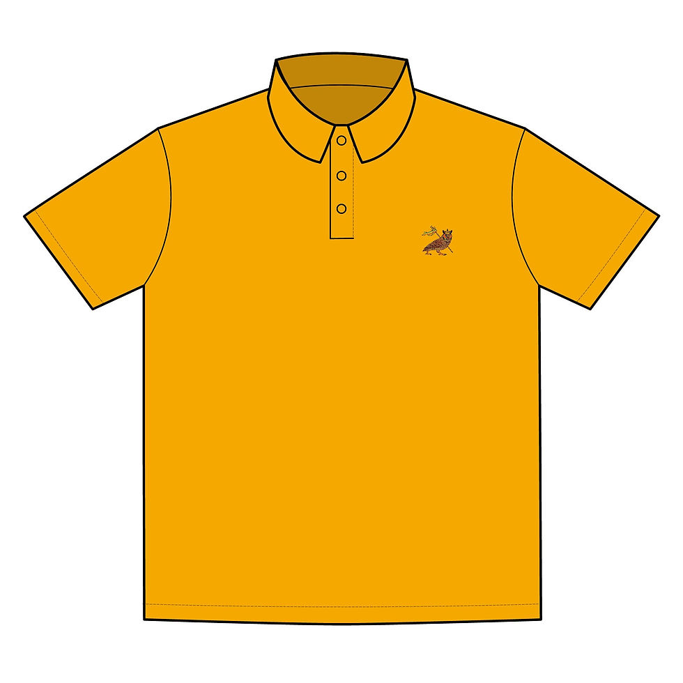 Thumbnail: Owl Of Judah Polo 
