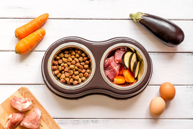 ingredients for pet food holistic top view on wooden background