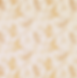 Ginkgo Leaves WHB 808 | Historic Wallpaper | Waterhouse Wallhangings