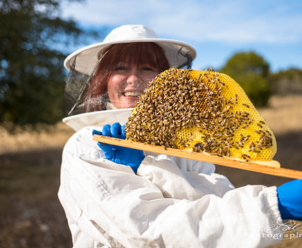 Nathalie Hplding Bees Colony