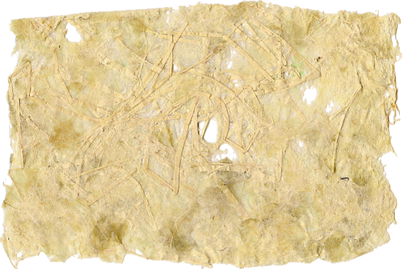 papier végétal.png