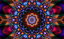Who Are You?  Why Do You Look Like Me?!!! Poem and Reflections on a Homogeneous Yet Disconnected Soc