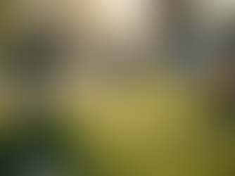 Servizi Funebri con Amore e Rispetto