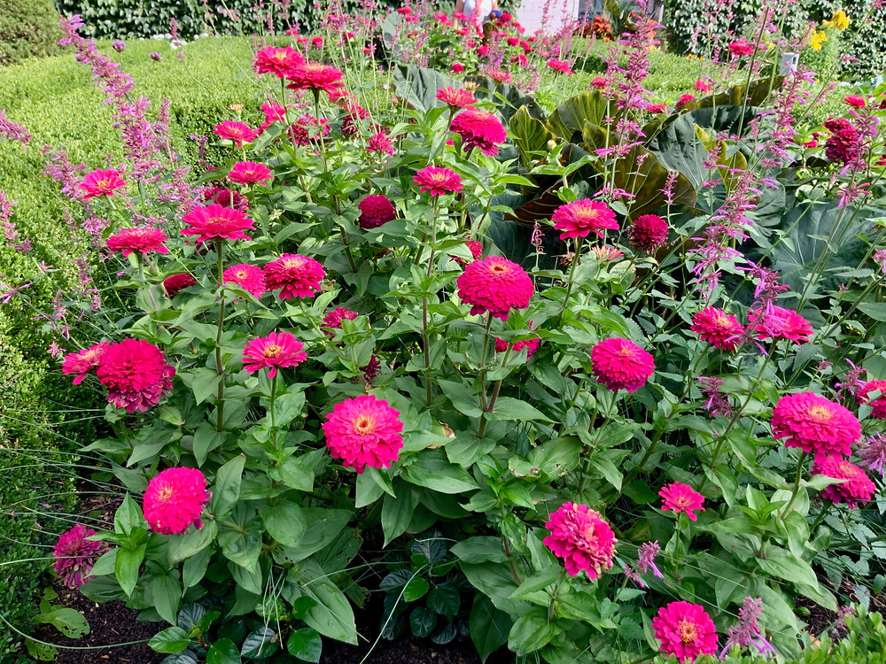 Even in mid-September, there's plenty of flowers.