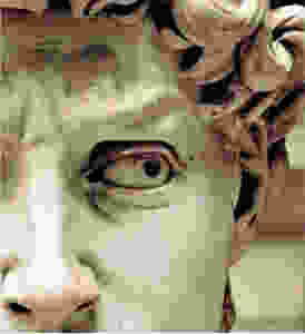 the intense expression in David's eyes