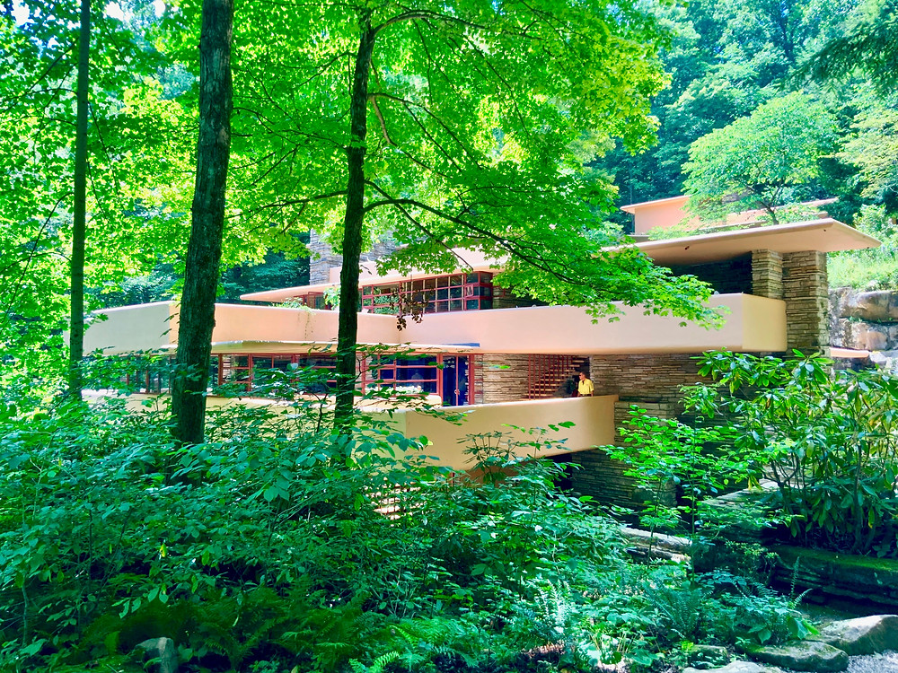the first view of Fallingwater on your tour