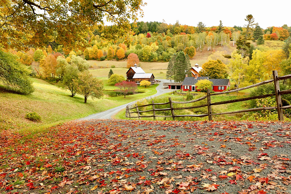 Sleepy Hollow Farm