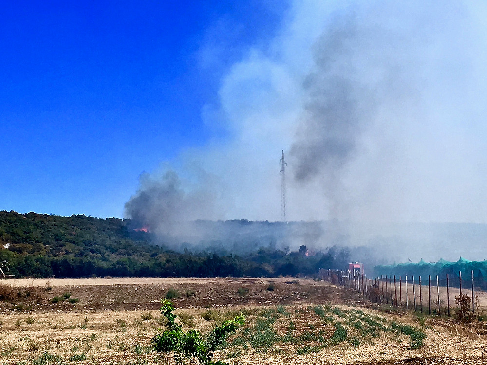 Ali and I trying to outrun a forest fire in rural Croatia outside Split.