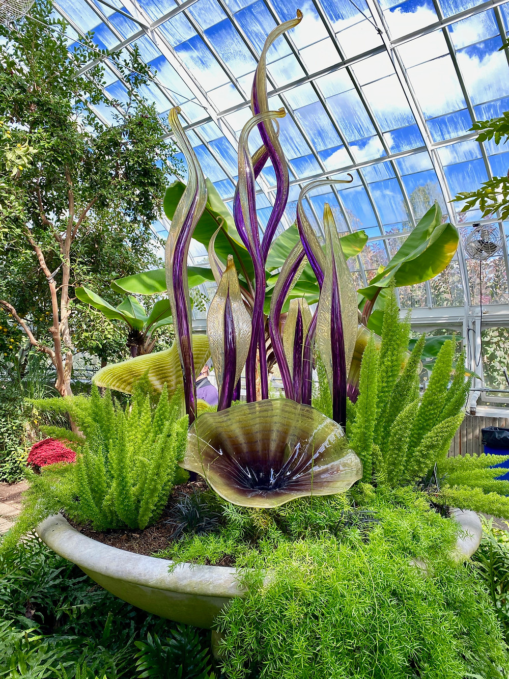 Dale Chihuly, Celadon and Gilded Royal Purple Fiori, 2007 -- in the Tropical Fruit and Spice Room