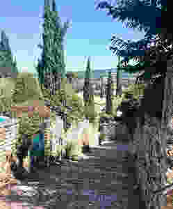 pretty cobbled streets and cypress trees in the medieval part of Vaison-La-Romaine