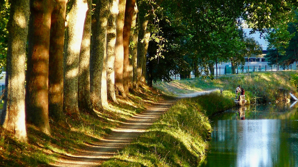 the Canal du Midi in Toulouse France