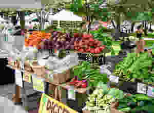 farmer's market at City Hall