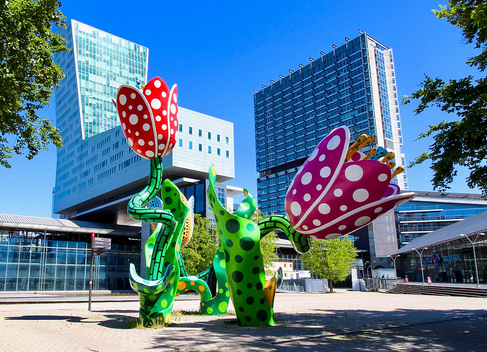 Yayoi Kusama's Tulips of Shangri-La, a symbol of Lille