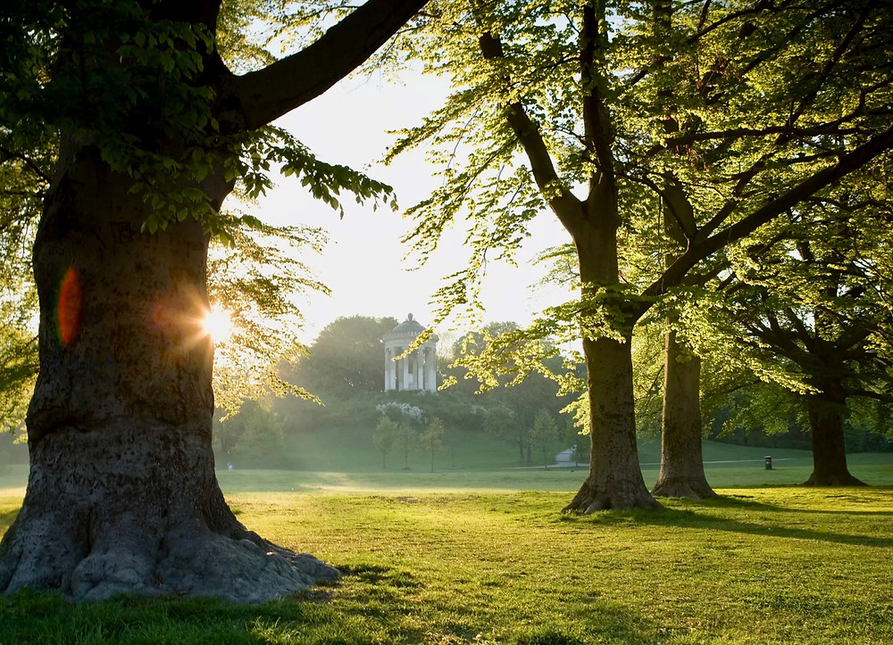 the Monopteros temple in the English Garden