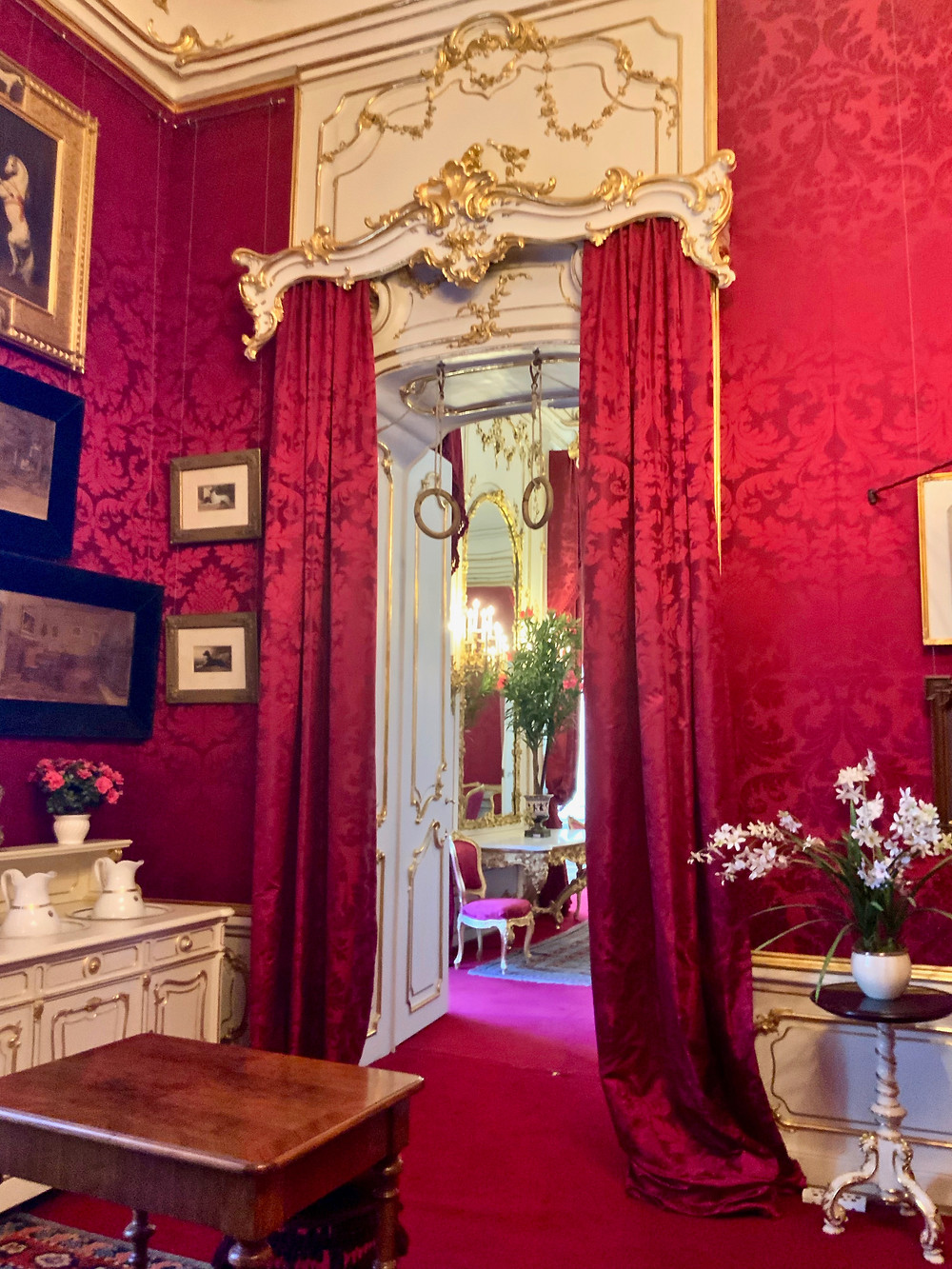 Sisi's exercise rings on display in the Imperial Apartments