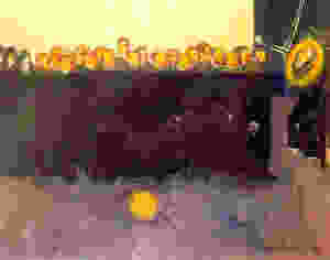 Émile Bernard, Van Gogh's Funeral