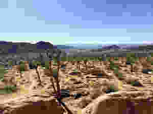 Joshua Tree National Park landscape