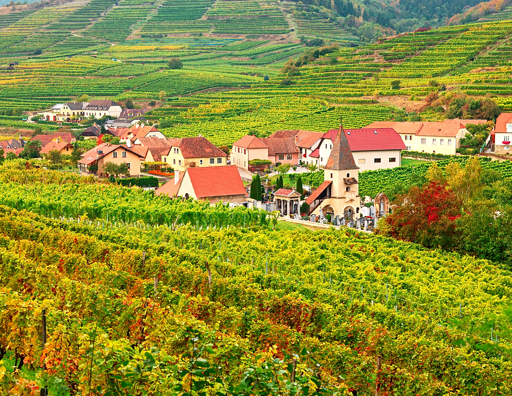 the tiny village of Spitz in the Wachau Valley on the Danube River