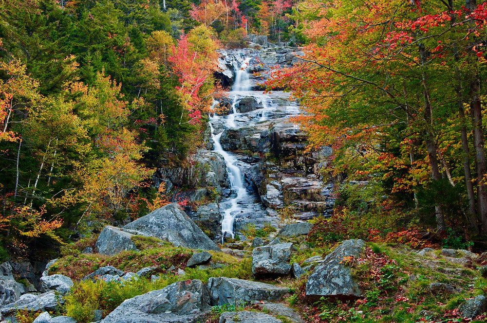 beautiful fall foliage at the Silver Cascade in Crawford Notch State Park