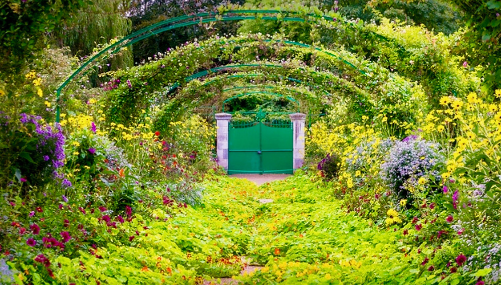 rose trellises in Monet's Clos Normand in Giverny