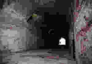 The Neroian Cryptoporticus