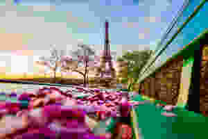 view of the Eiffel Tower in Paris