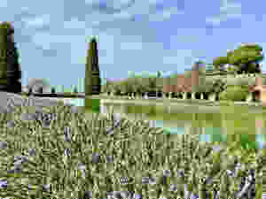 the Poecile of Hadrian's Villa with rosemary blooming in late February