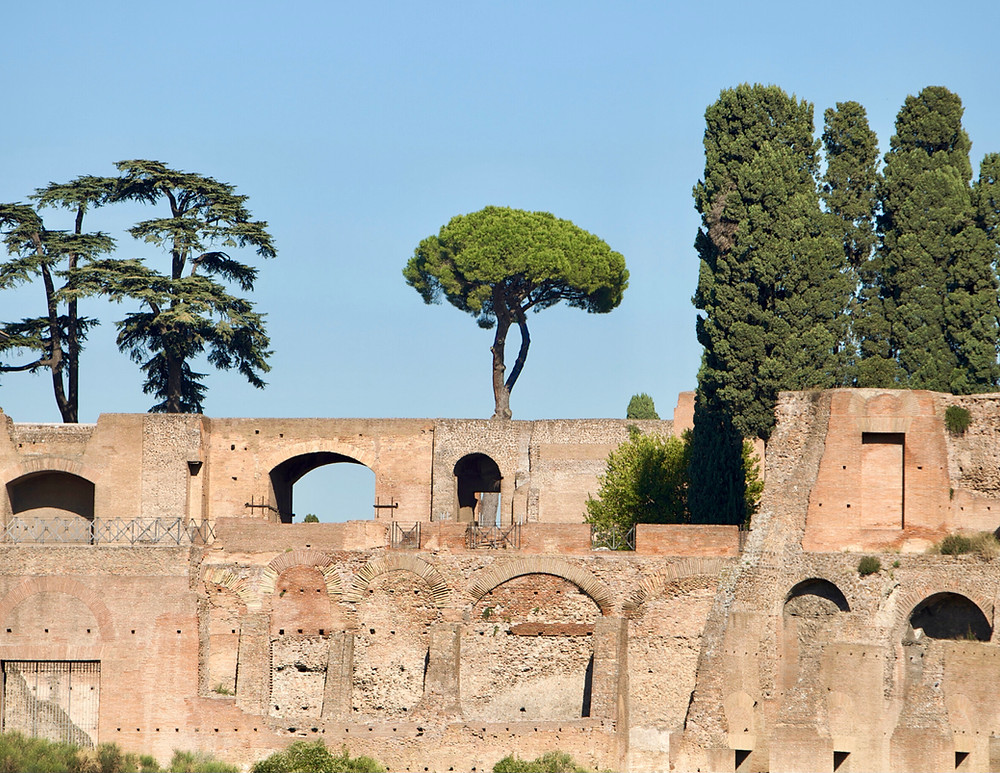 Domitian's Palace