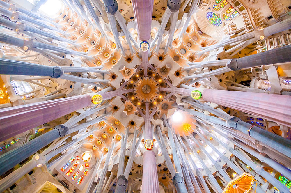 the dramatically lit ceiling of Antoni Gaudi's Sagrada Familia