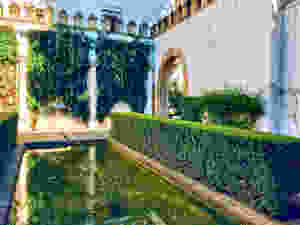 the Levies Courtyard with its small reflecting pond in the Alcázar gardens