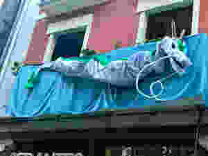 terrace decoration in old town Bilbao