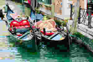 pretty gondolas in Venice