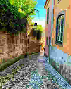 How would you like to drive down this two way road?