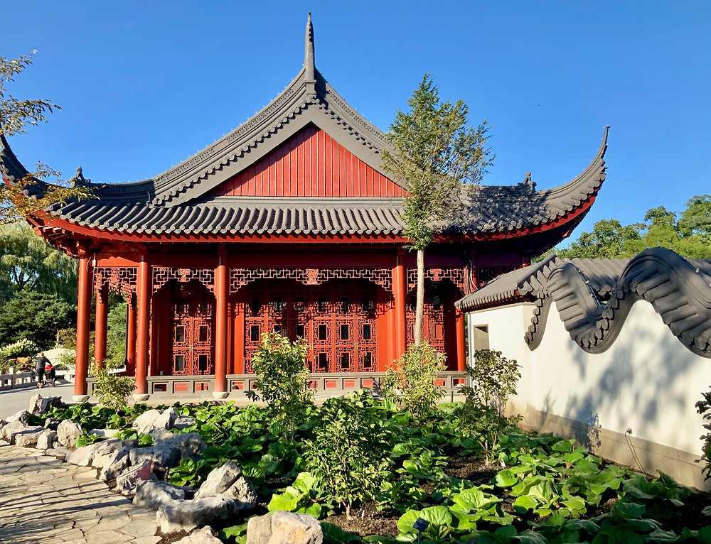 the Japanese Garden