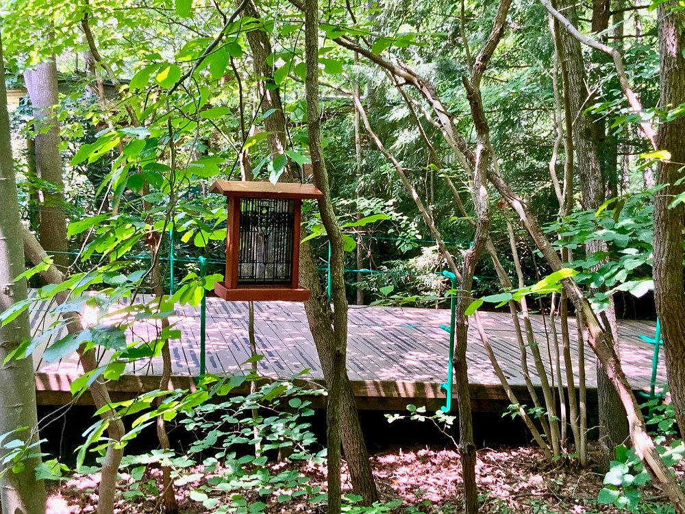 a lovely arts and crafts birdhouse in the Visitors Center