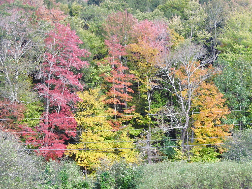 Thundering Falls in Killington