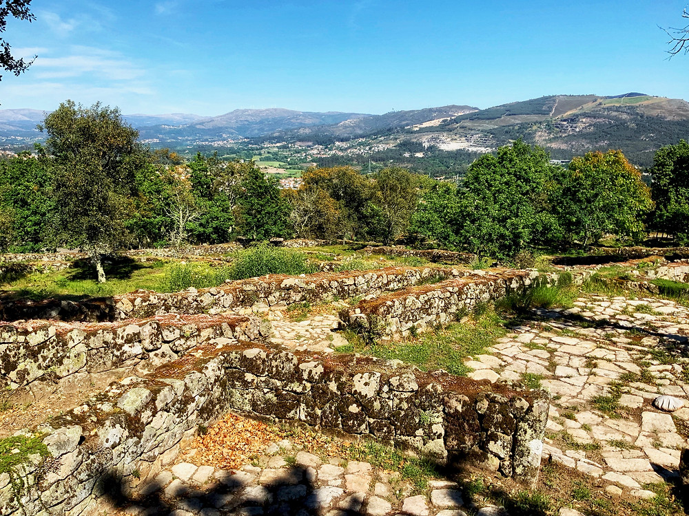 walls dividing the structures