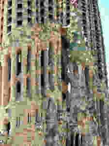 the tree of life on the Nativity Facade