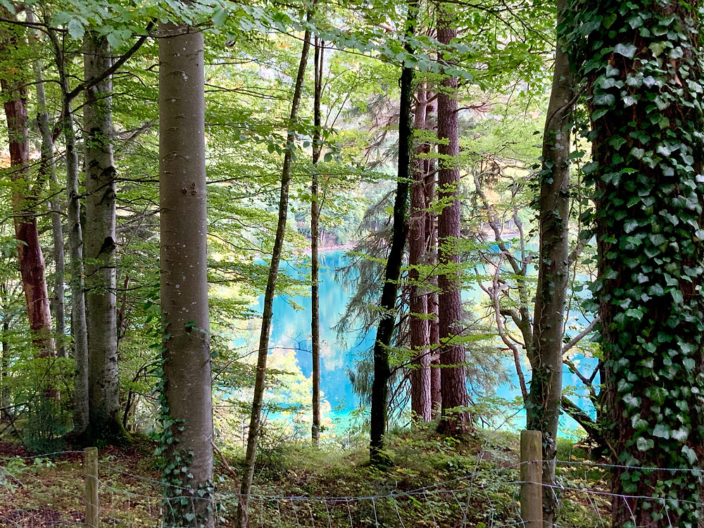 the pristine Alpsee Lake, the perfect setting in the Alps for Neuschwanstein Castle