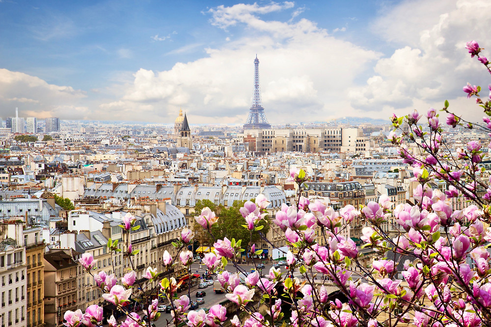 Paris cityscape with the Eiffel Tower