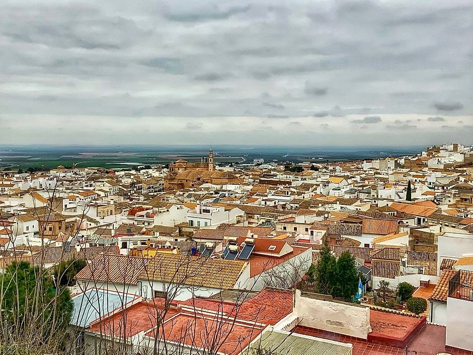town of Osuna seen from the Collegiate Church