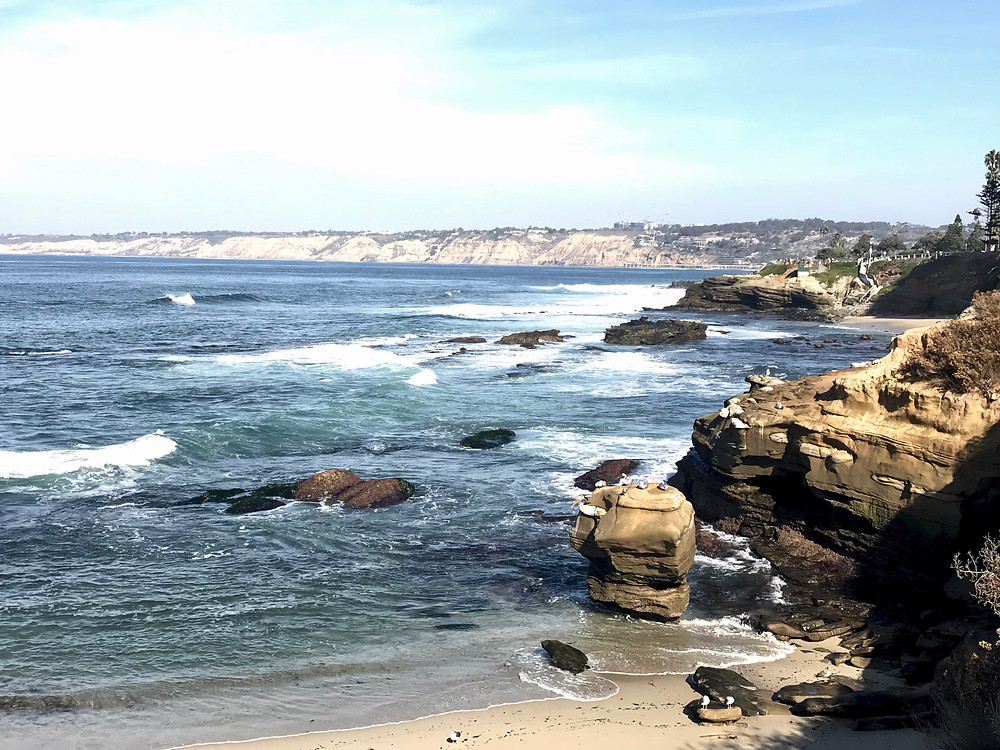 the La Jolla coastline