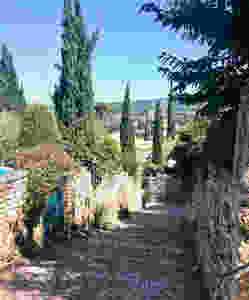 pretty cobbled streets and cypress trees in Vaison La Romaine